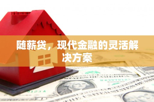 梁山随薪贷，现代金融的灵活解决方案