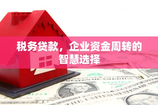 梁山税务贷款，企业资金周转的智慧选择