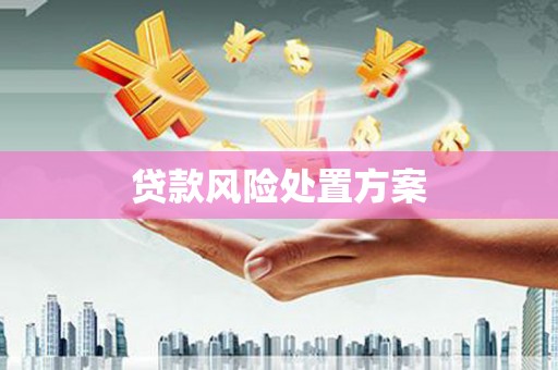 梁山贷款风险处置方案