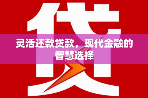 梁山灵活还款贷款，现代金融的智慧选择