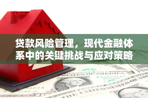 梁山贷款风险管理，现代金融体系中的关键挑战与应对策略