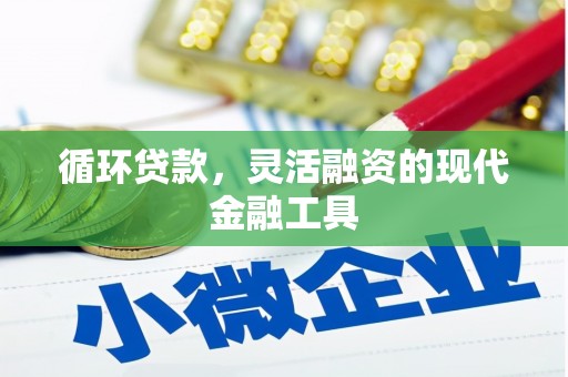 梁山循环贷款，灵活融资的现代金融工具