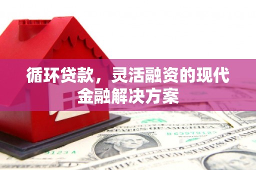 梁山循环贷款，灵活融资的现代金融解决方案