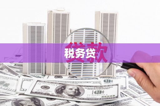 梁山税务贷