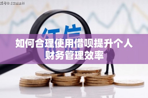梁山如何合理使用借呗提升个人财务管理效率