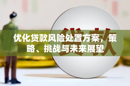 梁山优化贷款风险处置方案，策略、挑战与未来展望