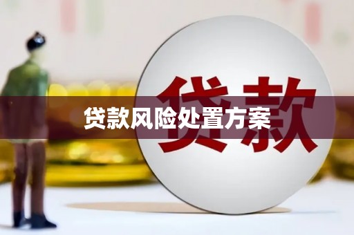 梁山贷款风险处置方案