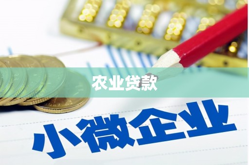 梁山农业贷款