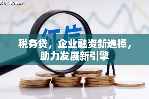 梁山税务贷，企业融资新选择，助力发展新引擎