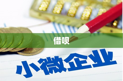 梁山借呗