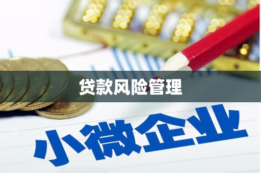 梁山贷款风险管理