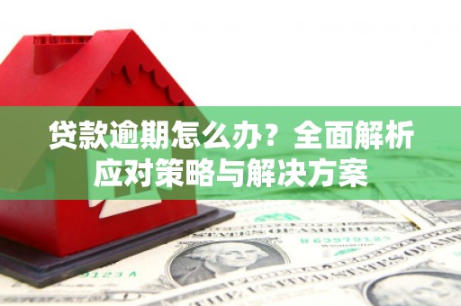 梁山贷款逾期怎么办？全面解析应对策略与解决方案
