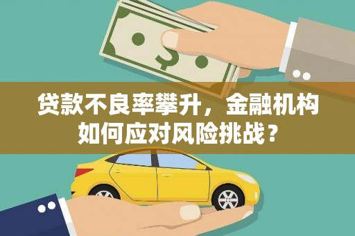 梁山贷款不良率攀升，金融机构如何应对风险挑战？
