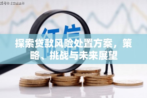 梁山探索贷款风险处置方案，策略、挑战与未来展望
