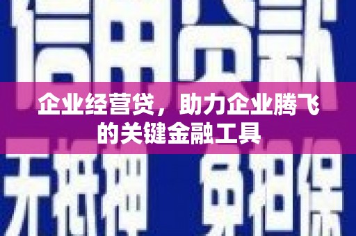 梁山企业经营贷，助力企业腾飞的关键金融工具