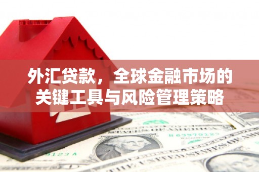 梁山外汇贷款，全球金融市场的关键工具与风险管理策略