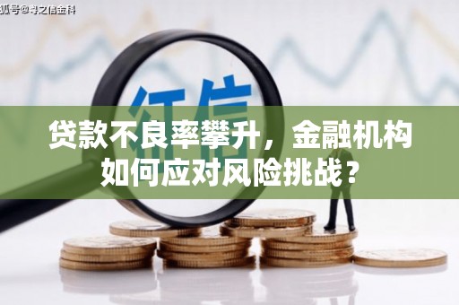 梁山贷款不良率攀升，金融机构如何应对风险挑战？