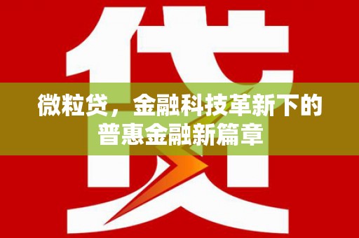 梁山微粒贷，金融科技革新下的普惠金融新篇章