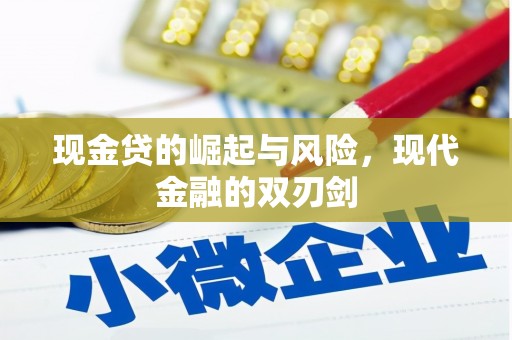 梁山现金贷的崛起与风险，现代金融的双刃剑
