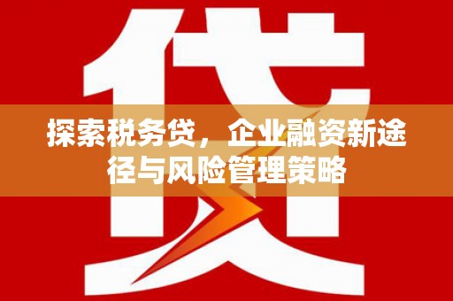 梁山探索税务贷，企业融资新途径与风险管理策略