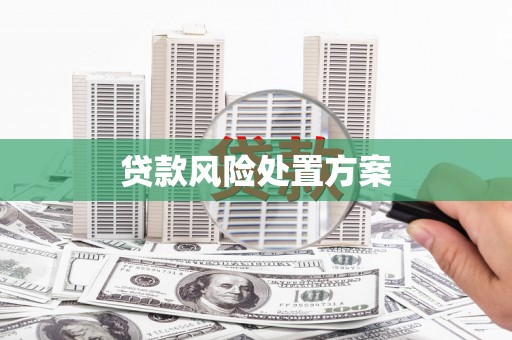 梁山贷款风险处置方案