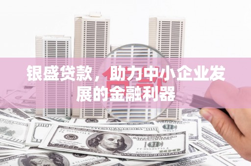 梁山银盛贷款，助力中小企业发展的金融利器
