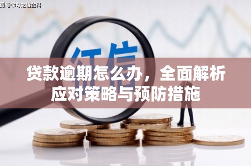 梁山贷款逾期怎么办，全面解析应对策略与预防措施