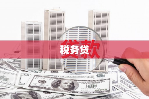 梁山税务贷