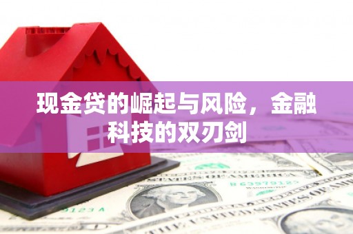 梁山现金贷的崛起与风险，金融科技的双刃剑