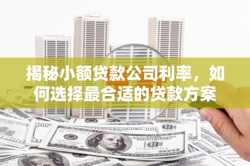 梁山揭秘小额贷款公司利率，如何选择最合适的贷款方案