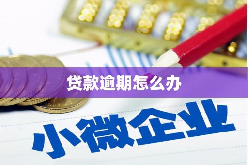 梁山贷款逾期怎么办