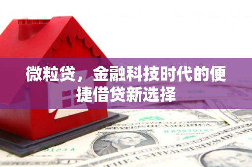梁山微粒贷，金融科技时代的便捷借贷新选择