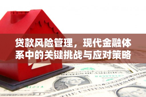 梁山贷款风险管理，现代金融体系中的关键挑战与应对策略