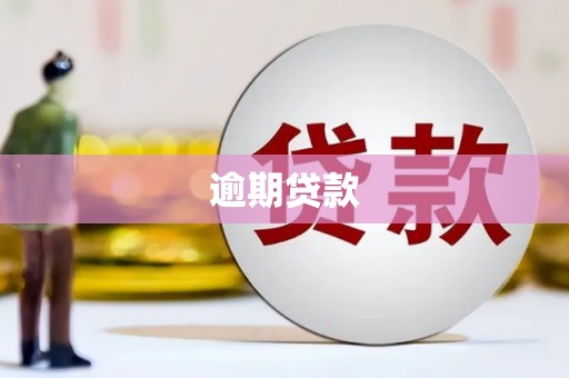 梁山逾期贷款