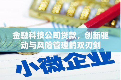 梁山金融科技公司贷款，创新驱动与风险管理的双刃剑